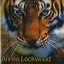 Lockwood Tiger Balm.jpg