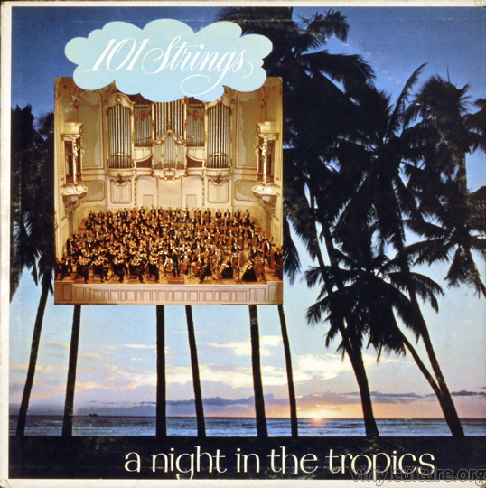 101_strings_tropics.jpg