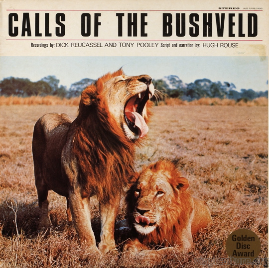 calls_of_the_bushveld_.jpg