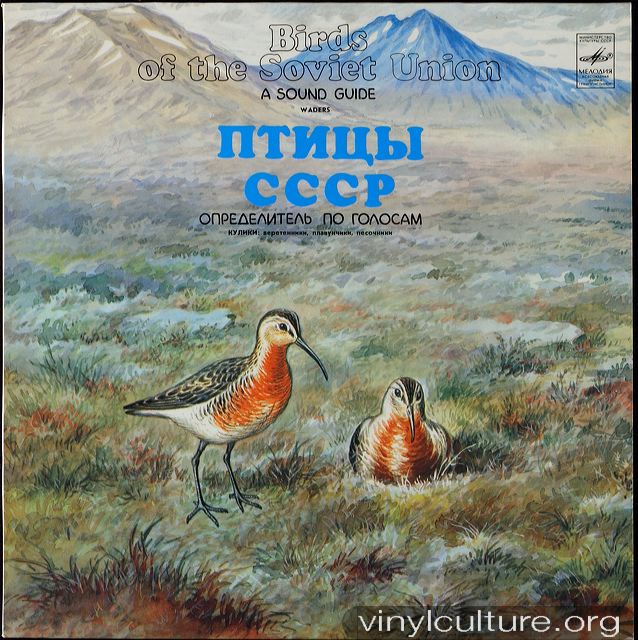 birds_of_the_soviet_union_.jpg